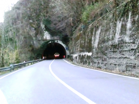 Moio Tunnel eastern portal
