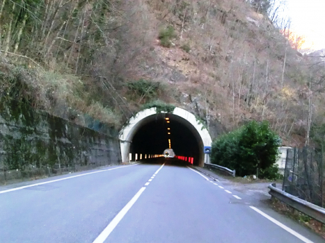 Moio Tunnel western portal