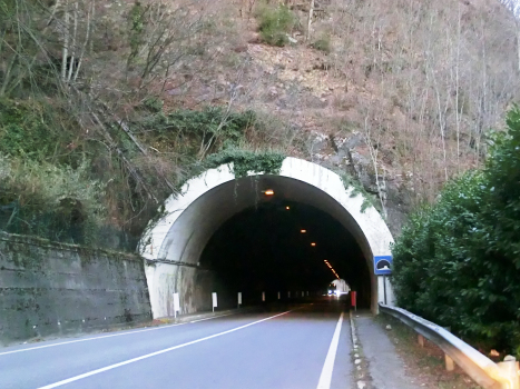 Moio Tunnel western portal