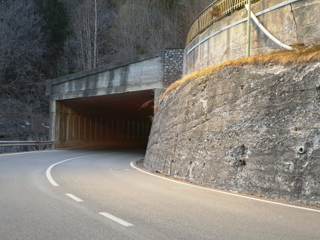 Vallesino Tunnel eastern portal
