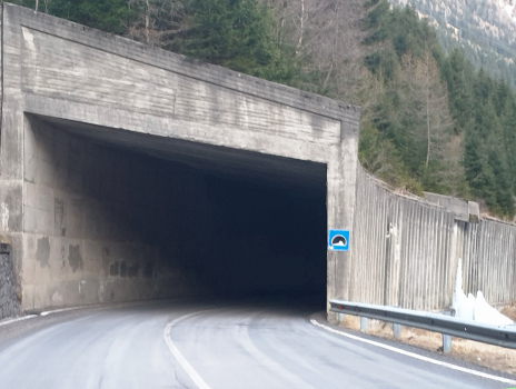 Bosco della Costa I Tunnel western portal