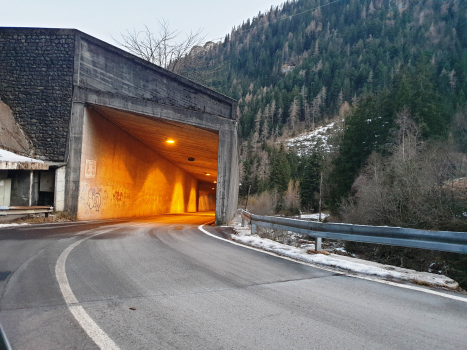 Tunnel de Sponda