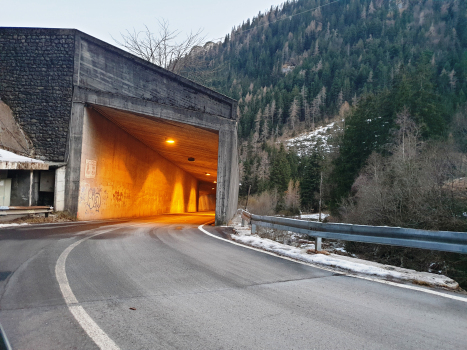 Sponda Tunnel, Cambrembo branch portal