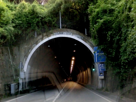 Pugliola Tunnel eastern portal