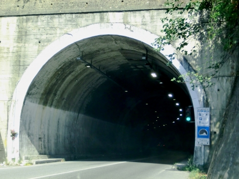 Pugliola Tunnel western portal