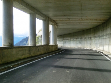 Tunnel Bazena