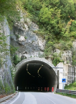 Braulins Tunnel southern portal