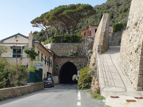 Riva Tunnel