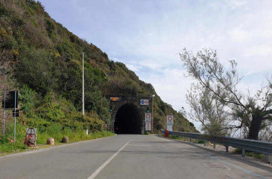 Tunnel de Riva
