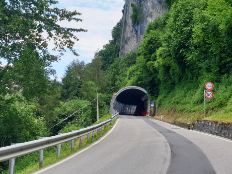 San Martino Tunnel