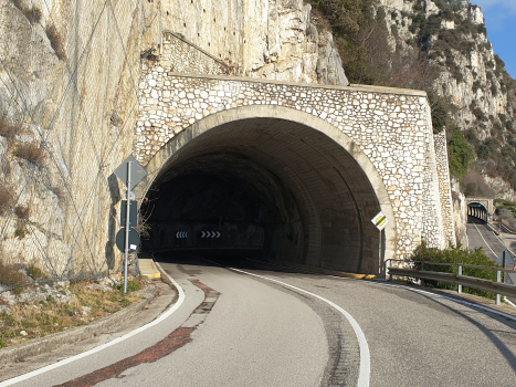 Forra I Tunnel