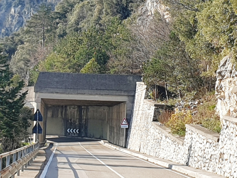 Tunnel de Forra II