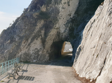 Tunnel de Forra III bis