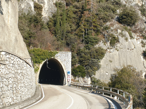 Tunnel Forra III