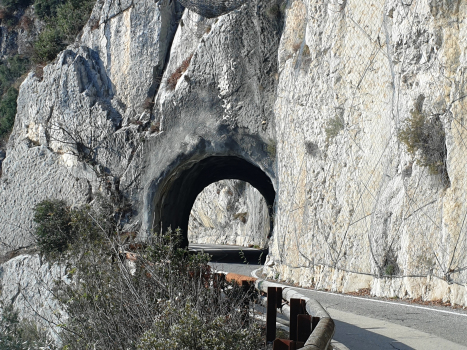 Tunnel de Forra IV