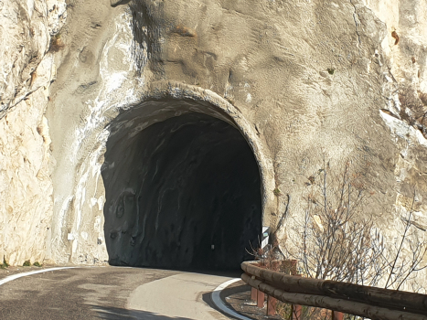 Forra VI Tunnel