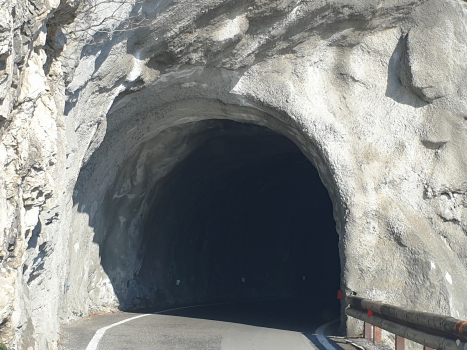 Tunnel de Forra VII