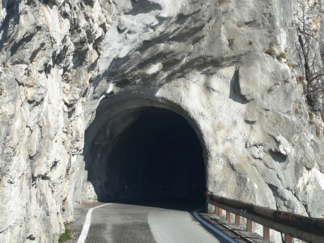 Forra VII Tunnel