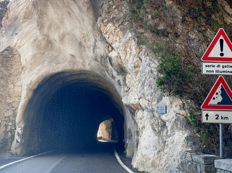 Tunnel Forra VIII