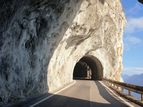 Tunnel Forra VIII