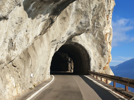 Tunnel de Forra VIII