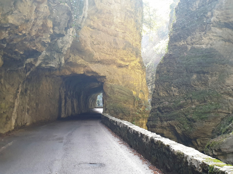Tunnel de Forra X