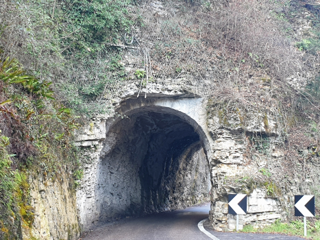 Tunnel Forra XI