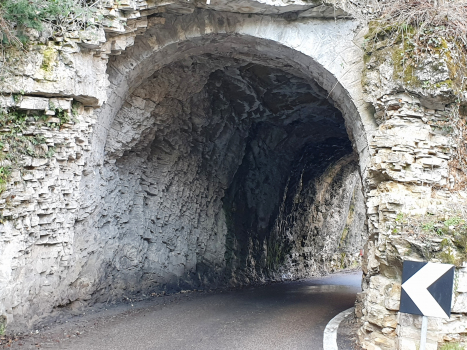 Forra XI Tunnel
