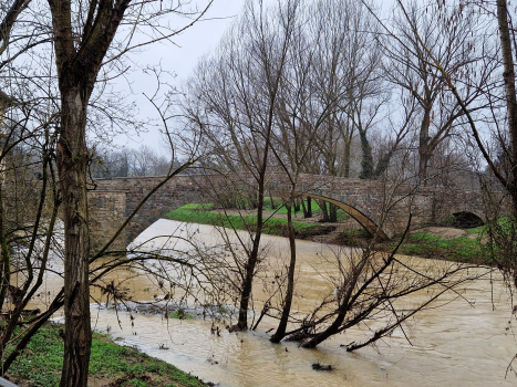 Sieve Ponte a Vicchio Bridge