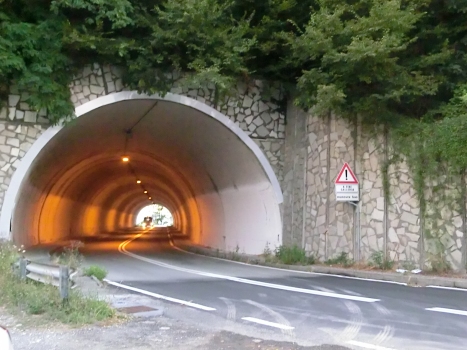 Pino Tunnel eastern portal