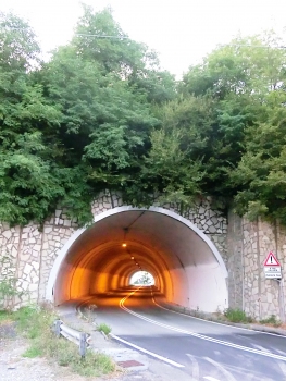 Pino Tunnel eastern portal