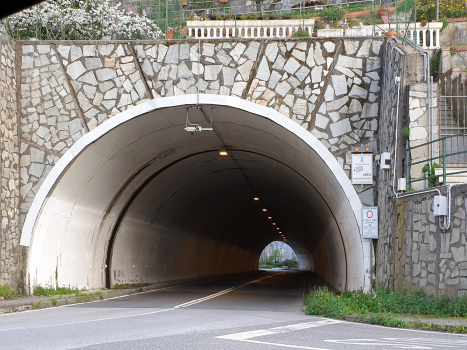 Pino Tunnel
