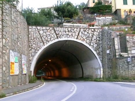 Pino Tunnel western portal