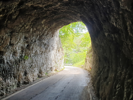 Manzano-Tunnel