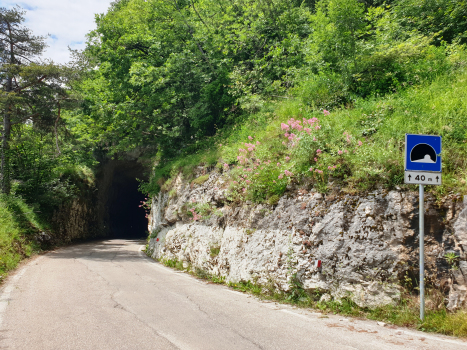 Manzano Tunnel