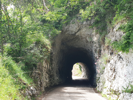 Tunnel de Manzano