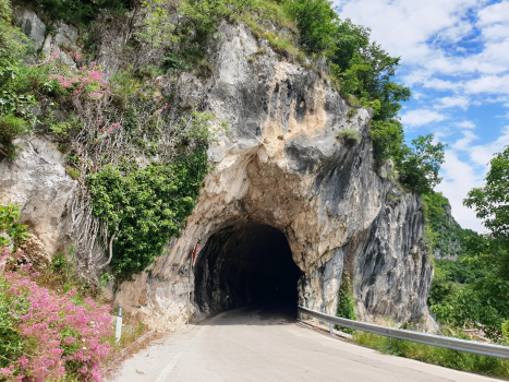 Tunnel de Manzano