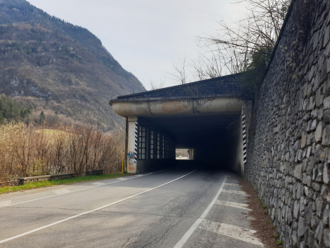 Ludrigno Tunnel