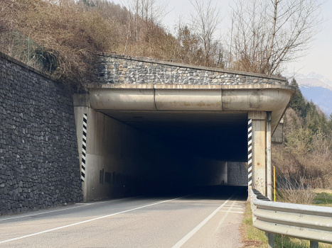 Tunnel Ludrigno