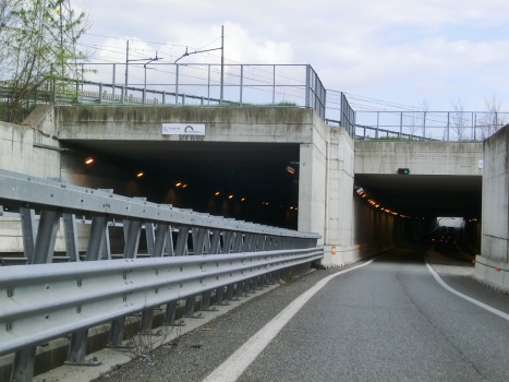 Borgaro Tunnel northern portals