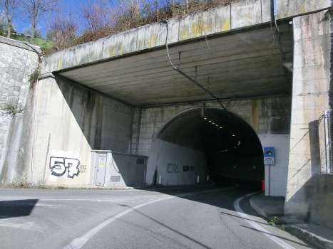 Zone Tunnel eastern portal