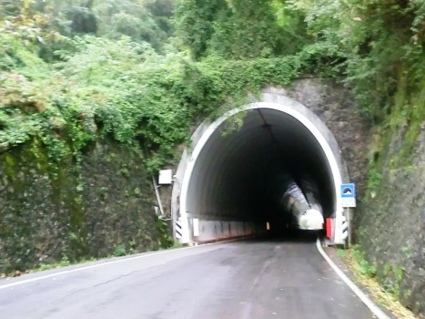 Minucciano Tunnel northern portal
