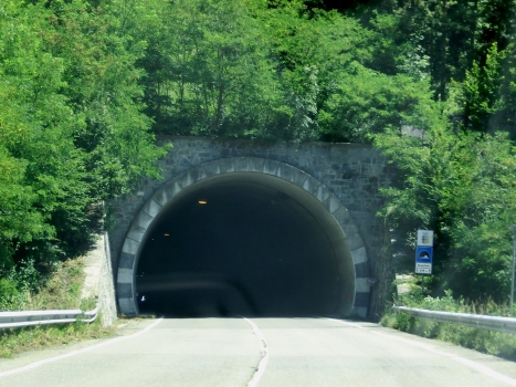 Borgallone Tunnel western portal
