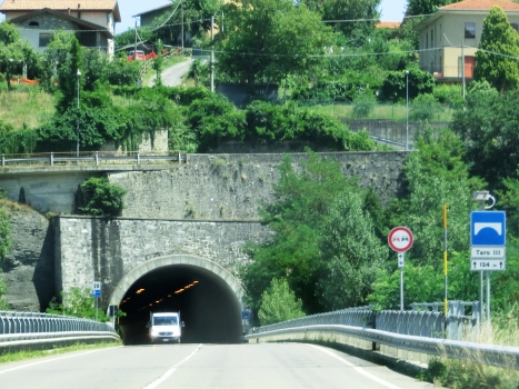 Ostia Parmense Tunnel western portal