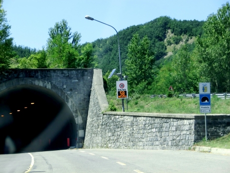 Predelle Tunnel eastern portal