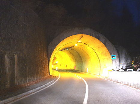 Branzi-Carona Tunnel eastern portal