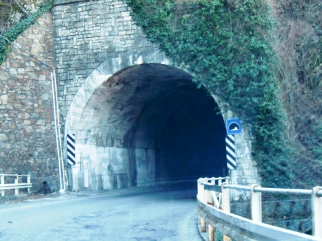 Tunnel Lock
