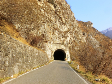 Forcola Tunnel