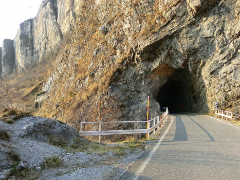 Forcola Tunnel