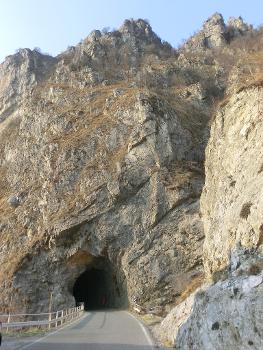 Tunnel de Forcola